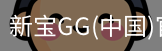新宝GG